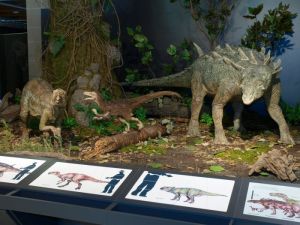 Dinoszaurusz-kiállítás érkezik a szegedi Móra-múzeumba